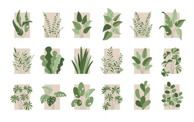 Vector set of botanical illustrations in flat style with frame. Isolated template of green cactus, monstera leaves, fern, ficus, zamioculcas with outline. Bush, branches of plants. Line art - obrazy, fototapety, plakaty