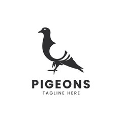 Vector of a pigeon design on white background. Bird. Animals. Vector illustration.