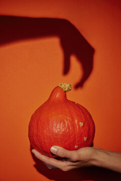Hand holding pumpkin