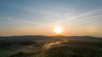 Forest moutain landscape panorama at sunrise