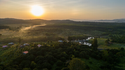 Fototapeta na wymiar Forest moutain landscape panorama at sunrise