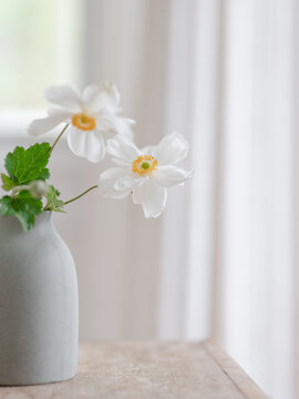 Delicate white flowers in a small vase