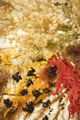 Beautiful bouquet of dried flowers close-up.