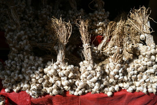 dried garlic bulbs in the street market
