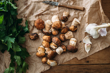 Ceps and herbs 