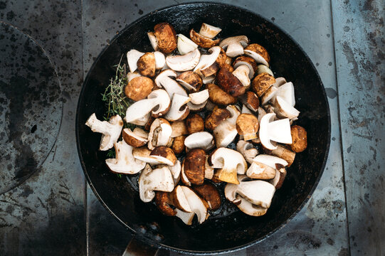 Ceps 