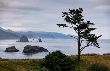 Naklejka premium Oregon Mountain nature landscape rugged shoreline at Cannon Beach 