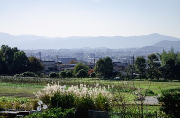 SONY DSC townscape in kyoto