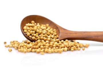 coriander seeds spoon front view on white background.