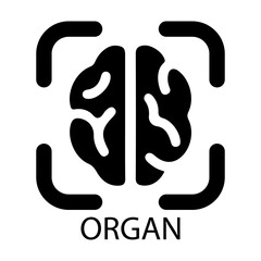organ,anatomy icon vector illustration
