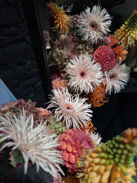 Variety of different flowers