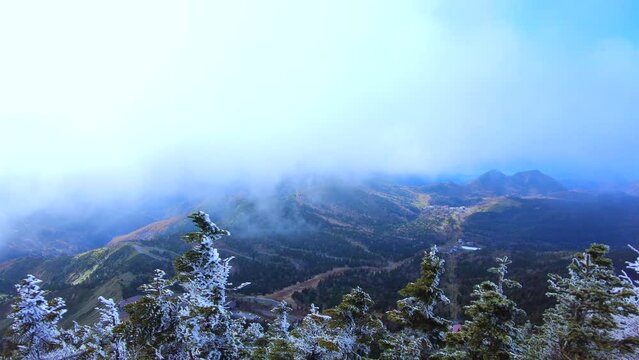 長野県横手山の頂から見える風景のパンショット  流れる雲と樹氷 4K  2022年10月29日