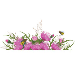 Thistle in the meadow. Meadow field grass. Wild flowers and bees. Horizontal frame for wedding invitation. Vector stock illustration. Isolated on a white background.