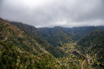 Madeira island in autumn	