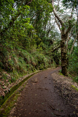 Fototapeta na wymiar Madeira island in autumn 
