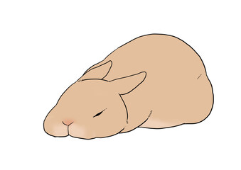 溶けるウサギ　茶色
