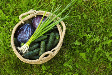 Tasty vegetables in wicker basket on green grass, top view. Space for text