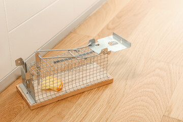 Mousetrap with cheese near light wall