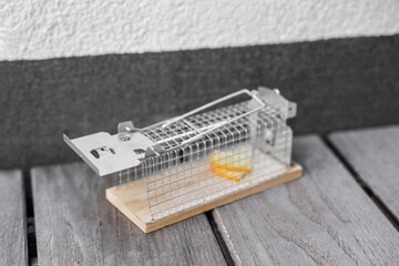 Metal mousetrap with cheese outdoors