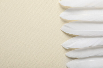Beautiful white bird feathers on beige background, flat lay. Space for text
