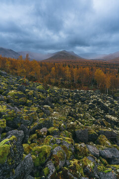 Moody autumn mountain pass in the North