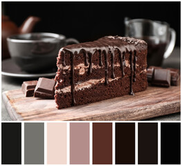 Delicious chocolate cake on wooden board and color palette. Collage