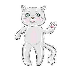 Hand drawn cute cat kitten pink cheeks isolated on a white background 