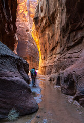 A lone hiker going through a deep slot canyon cut through sandstone and illuminated by reflecting light from above, Buckskin Gulch, Vermilion Cliffs Wilderness, Utah