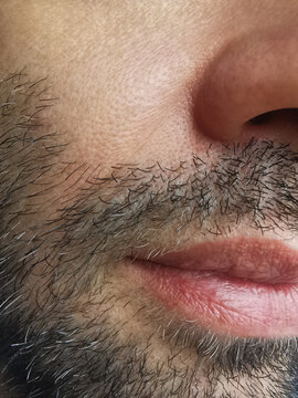 Macro Male Face With Beard, Lips And Nose