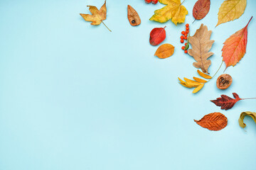 Natural forest decor on blue background