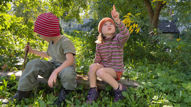 Brother and sister wearing knitted  hats sitting on a branch
