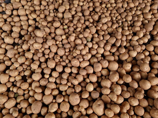 Fresh potatoes on the farm.