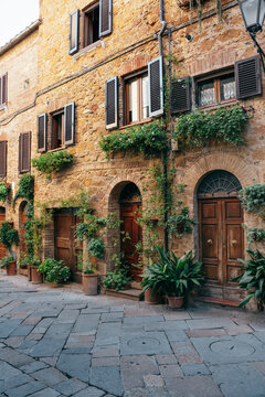 Plants outside buildings in Pienza