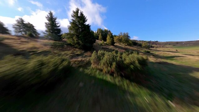 Spectacular dynamic fpv flight over green mountain fields between trees of Bondone in summer,Italy