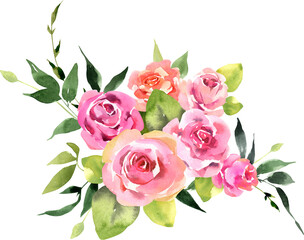 Bouquet of pink roses watercolor illustration