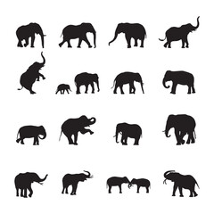 Elephant Silhouettes, Elephant silhouette collection