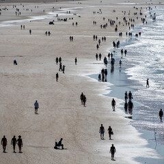 Fototapeta premium Human silhouettes