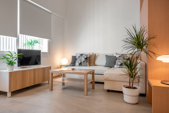 Modern dining room 