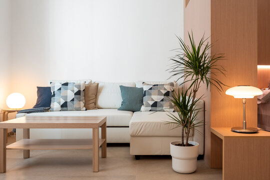 Modern dining room 