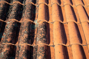 washed and non-washed roof tiles covered with lichen moss and cleaned tiles