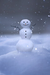 Cute snowman standing in a snow covered landscape.