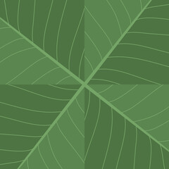 Greenleaves background in flat vector design.