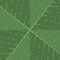 Greenleaves background in flat vector design.