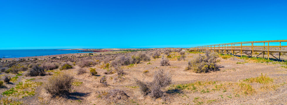 Panoramic over arid pampas coastline at Atlantic ocean in Nature Reserve Punta Tombo known for Magellanic penguin rookery and breeding colony, Patagonia, Argentina