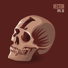 Skull Alphabet L Illustration