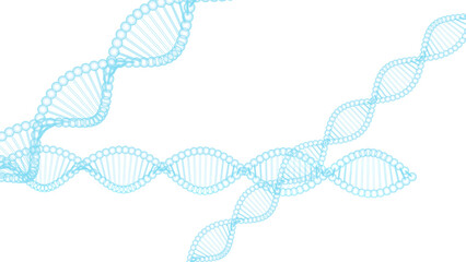 Science Molecular Blue DNA Model Structure under white flash lighting background. 3D illustration. 3D CG. 3D high quality rendering. PNG file format.