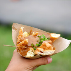 Lumpia a traditional snack from Indonesia. Traditional Spring rolls food containing eggs, and chicken or shrimp. Blurred background.