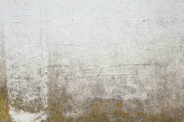 Yellow and green stains of toxic mould and fungal bacteria growing on a white wall. Concept of...