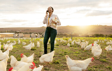 Black woman, chicken and phone call, farm and networking with contact, smile and happy...