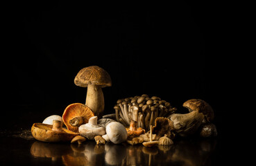 Different kinds of mushrooms against black background